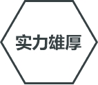 實力雄厚